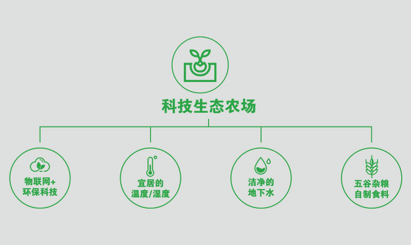 ��¶���B(t��i)�Ƽ��M�����(y��).jpg